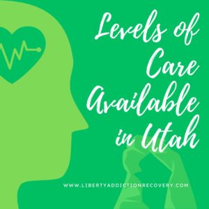 levels of dual diagnosis care in Utah