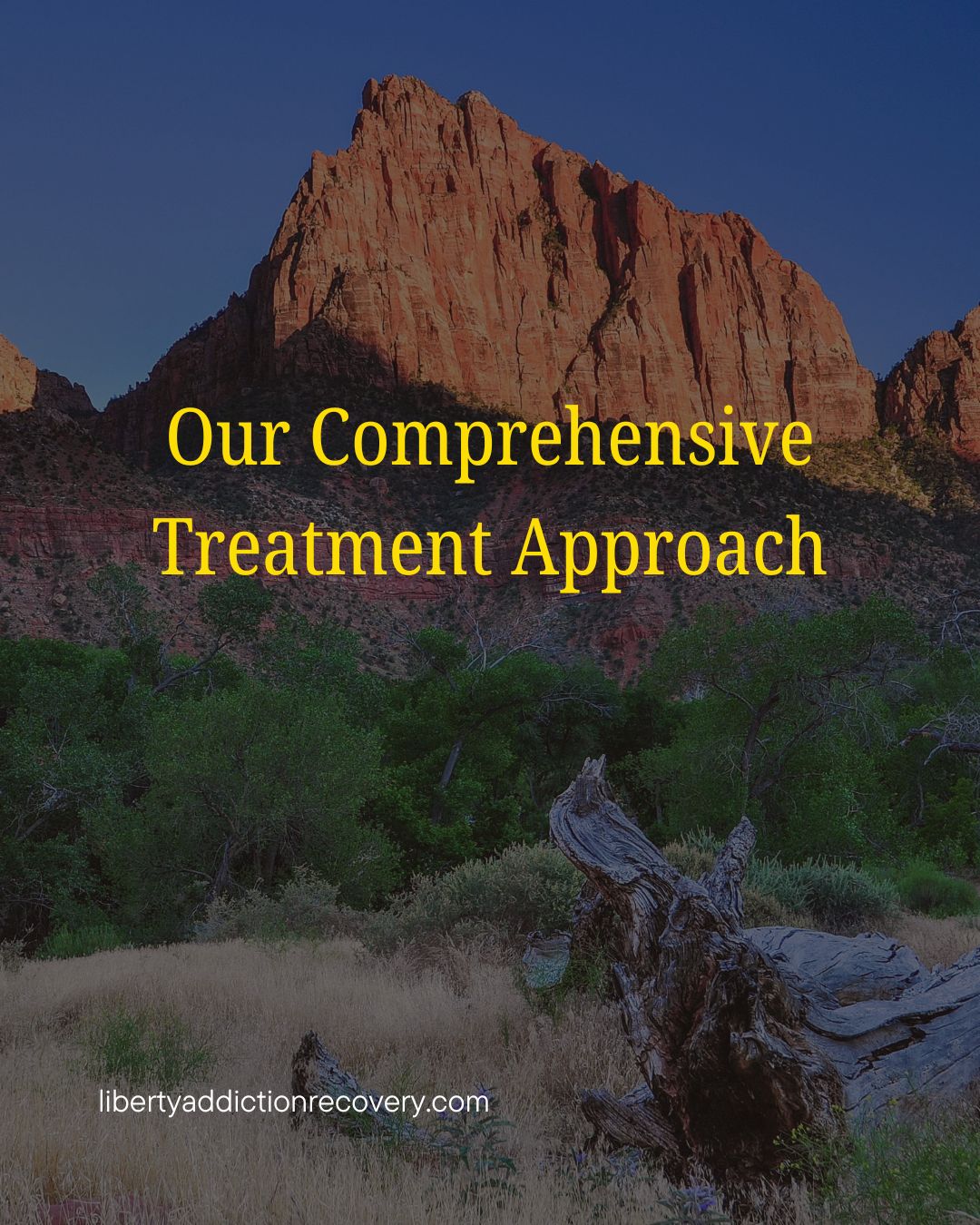 The Outpatient Treatment Journey