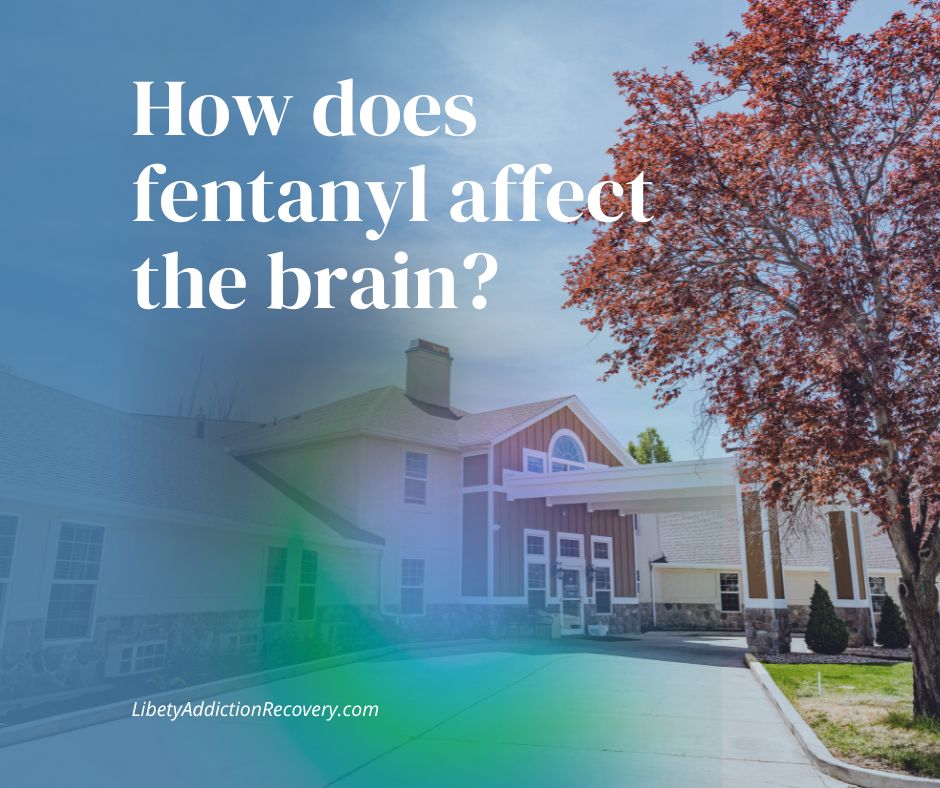 How does fentanyl affect the brain