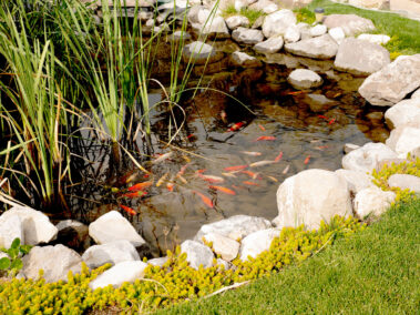 Liberty Addiction Recovery