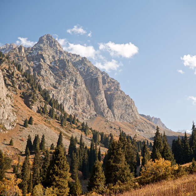 Utah Rehab Centers for Alcohol Treatment Utah Rehab Centers for Alcohol Treatment