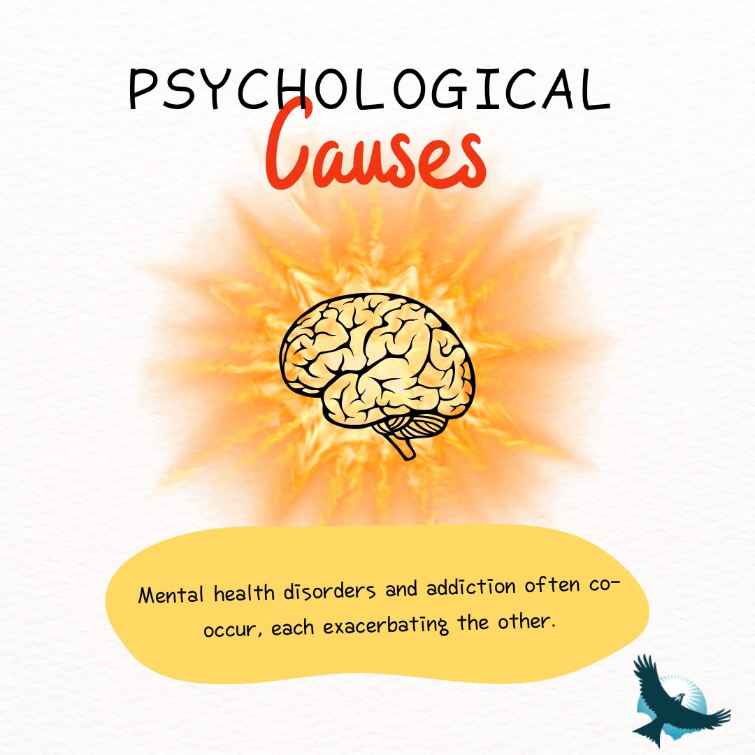 The Psychology of Addiction (5) psychological causes of addiction
