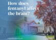 How does fentanyl affect the brain